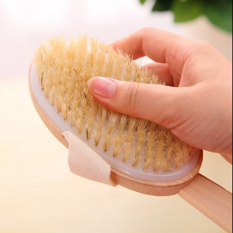 Back Brush Exfoliator Soft Bristle Brush with Long Handle Naturally Exfoliate Dead Skin Cellulite Stimulates Lymph Body Scrubber