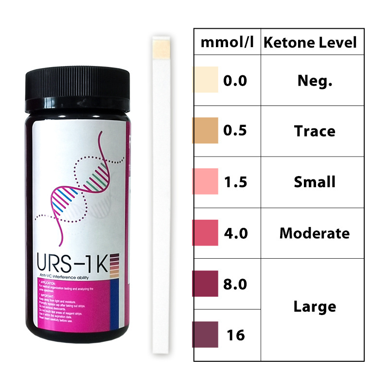 Ketone Test Strips Urine Keto Tester Reagent Strip Ketosis Home Urinalysis Tester Kit Analysis Keto Strips