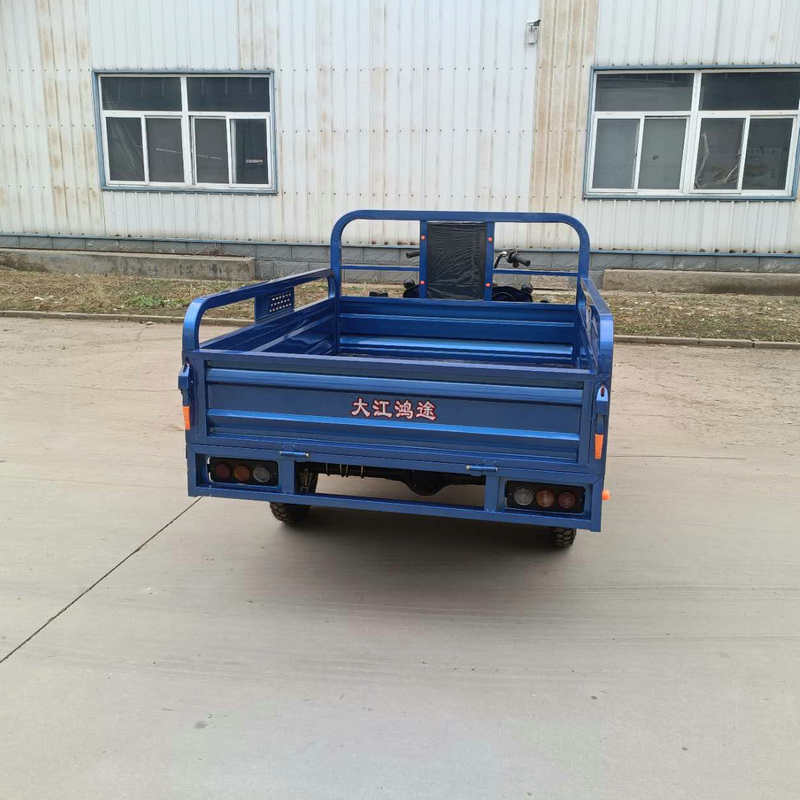 China Wholesale Electric Cargo Trike Custom Made Color Tricycle for Adult Farm Transport