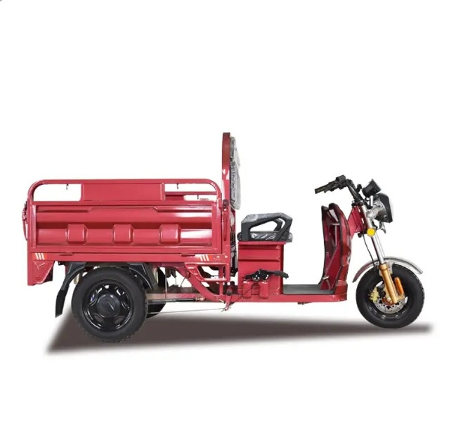 Electric Tricycle 3 Wheel Motorcycle for Cargo From China factory electric tricycle with roof