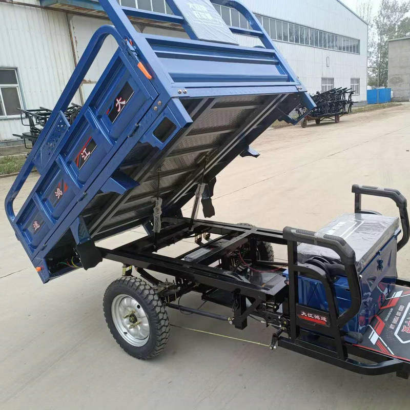 China Wholesale Electric Cargo Trike Custom Made Color Tricycle for Adult Farm Transport