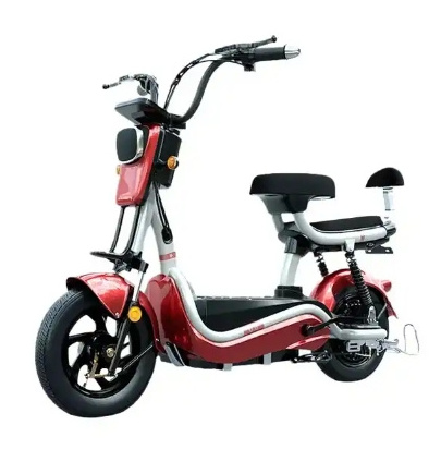 electric bicycle yangon ! customize electric Bicycle 800W brushless power battery electric Bicycle motor