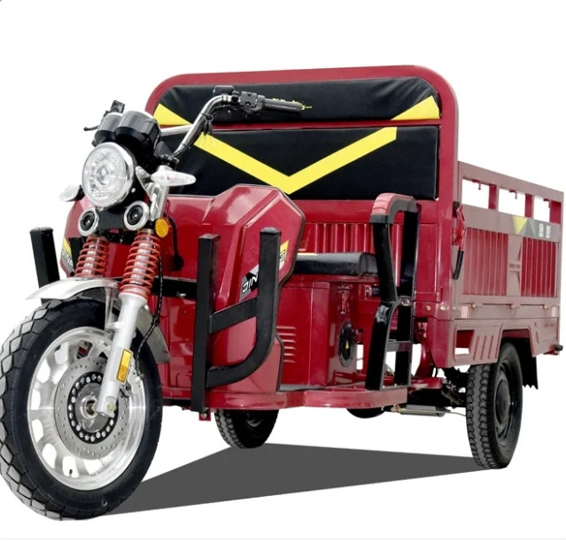 Nice model power 800W/1000W Adult Tricycle electric cargo tricycle 3 Wheel tricycle cargo truck