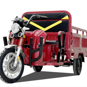 Nice model power 800W/1000W Adult Tricycle electric cargo tricycle 3 Wheel tricycle cargo truck