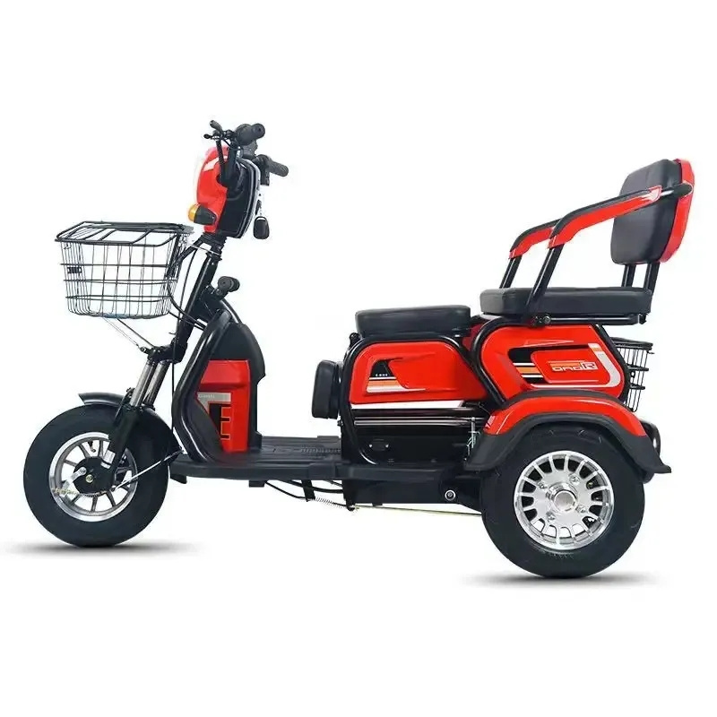 Hot Selling Adult Electric Tricycles 3 Wheel Tricycle Electric Bike Electric Cargo Bike 60V Electric Guft Roda 3 Ev 3 Wheeler