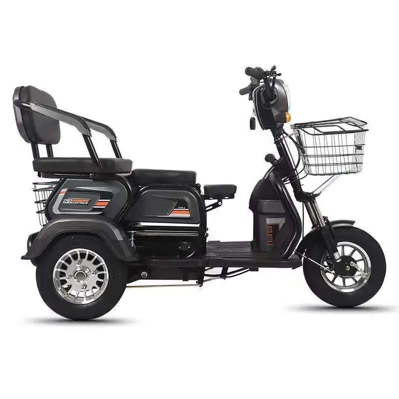 Hot Selling Adult Electric Tricycles 3 Wheel Tricycle Electric Bike Electric Cargo Bike 60V Electric Guft Roda 3 Ev 3 Wheeler