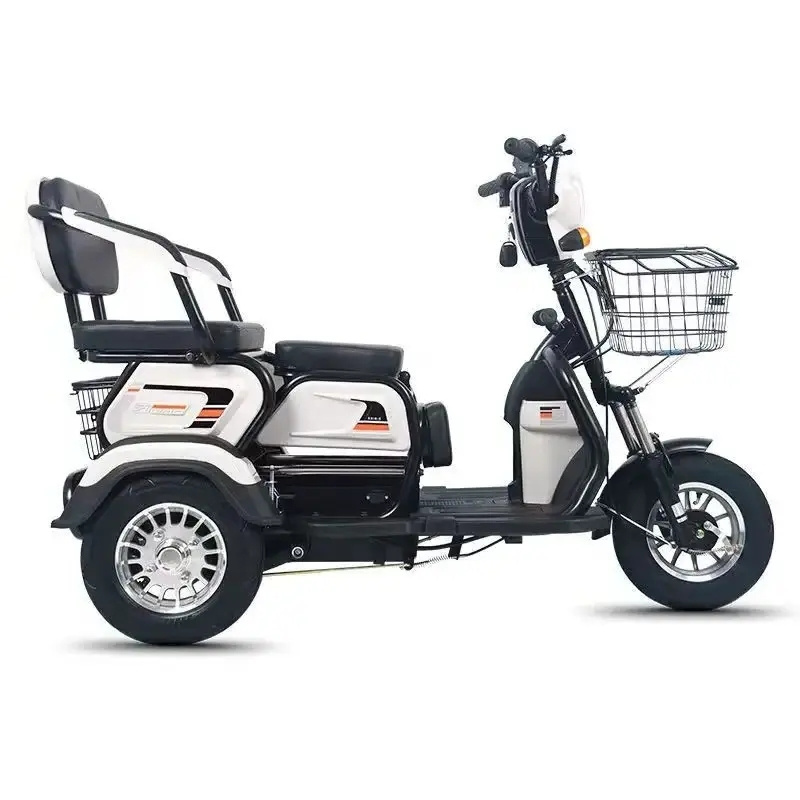 Hot Selling Adult Electric Tricycles 3 Wheel Tricycle Electric Bike Electric Cargo Bike 60V Electric Guft Roda 3 Ev 3 Wheeler