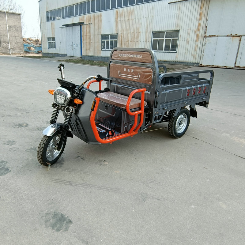 Brand new Motorized Tricycle 3 Wheel Electric Cargo Bike Pickup Truck with high quality