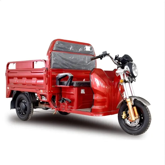 Electric Tricycle 3 Wheel Motorcycle for Cargo From China factory electric tricycle with roof