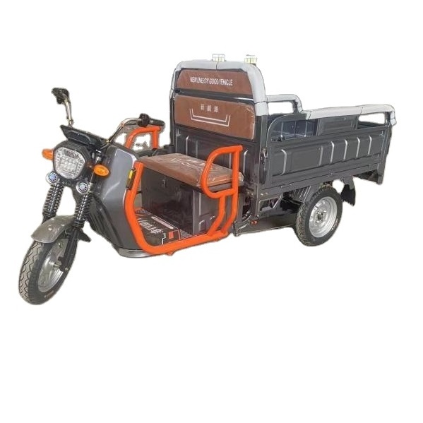 Brand new Motorized Tricycle 3 Wheel Electric Cargo Bike Pickup Truck with high quality