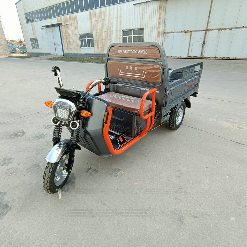 Brand new Motorized Tricycle 3 Wheel Electric Cargo Bike Pickup Truck with high quality