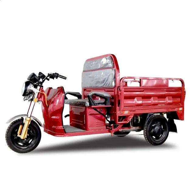 Electric Tricycle 3 Wheel Motorcycle for Cargo From China factory electric tricycle with roof