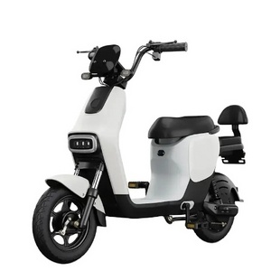 Hebei Factory Price Electric Motorcycle 12inch 1200w Electric Pedal Moped