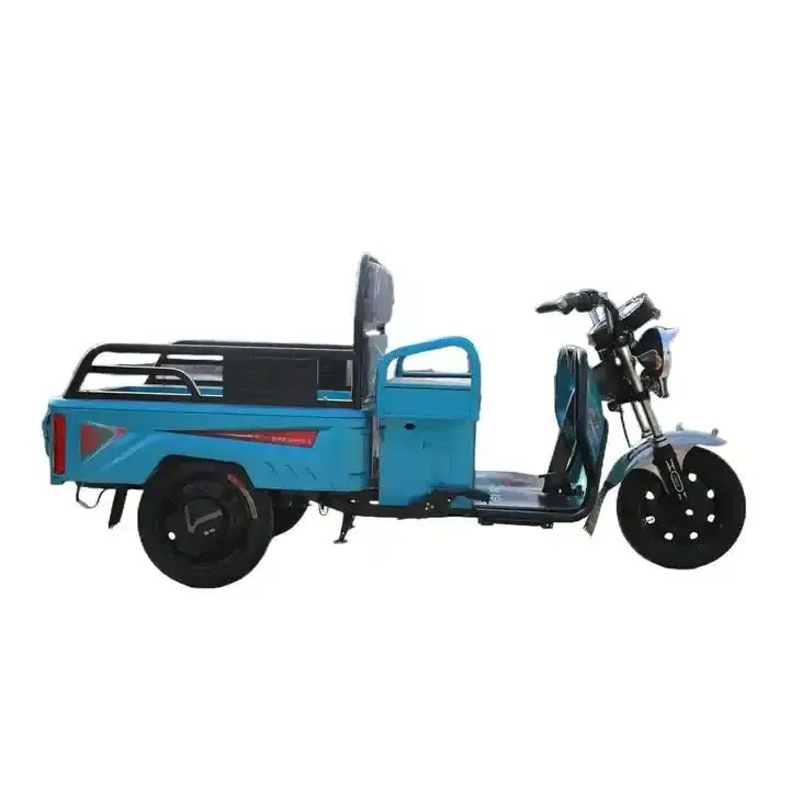 600W/800W/1000W Tricycle Adult Electric Cargo Bike Trikes