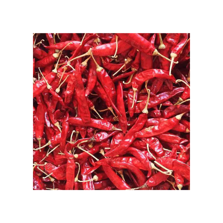 Good Quality Dry Red Chilli Price Natural Fresh Raw Stick Natural Yellowish Made In Vietnam Manufacturer