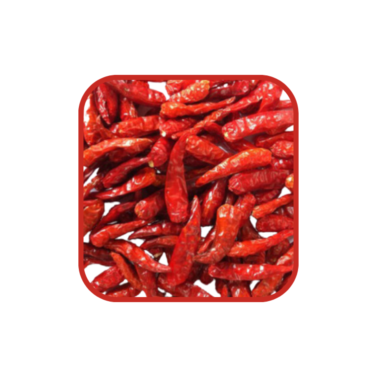 Vietnam Product High Quality Dry Red Chilli Single Spices For Cooking Whatsapp 84 981 888 222 Good Price Dried Red Chilli