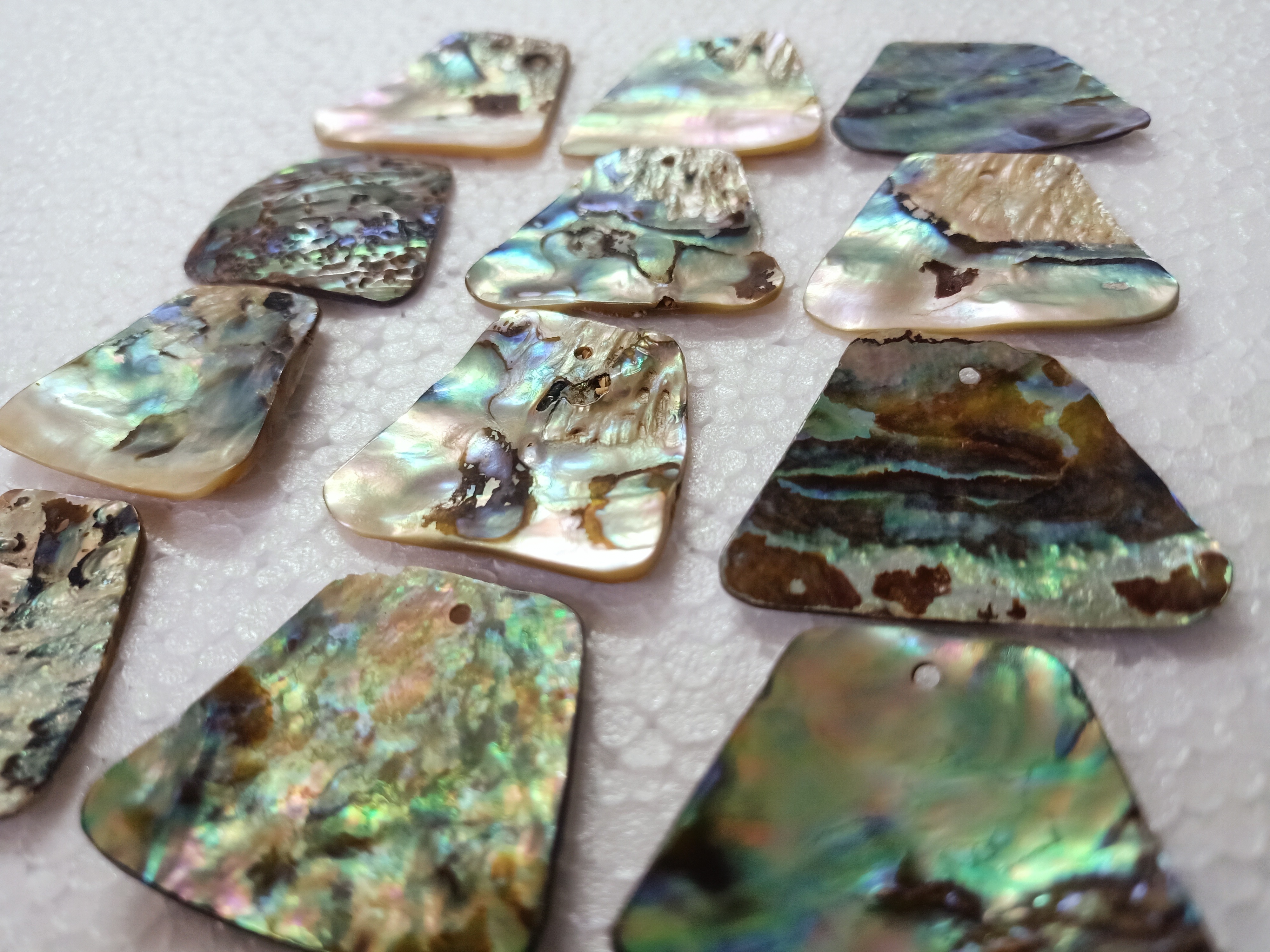 custom made abalone shells in size 20*40 mm ideal for jewelry designers and bead stores for resale