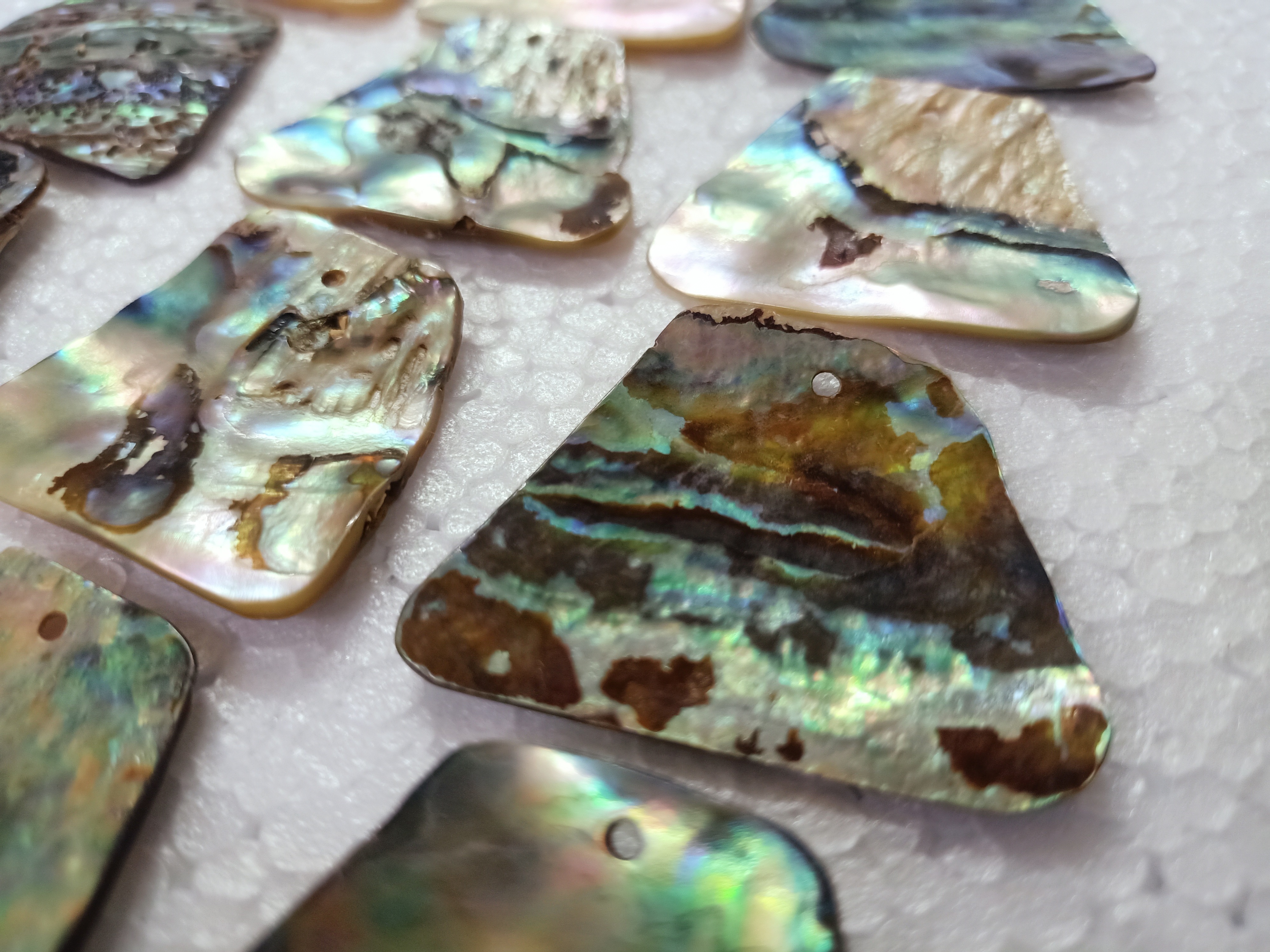 custom made abalone shells in size 20*40 mm ideal for jewelry designers and bead stores for resale