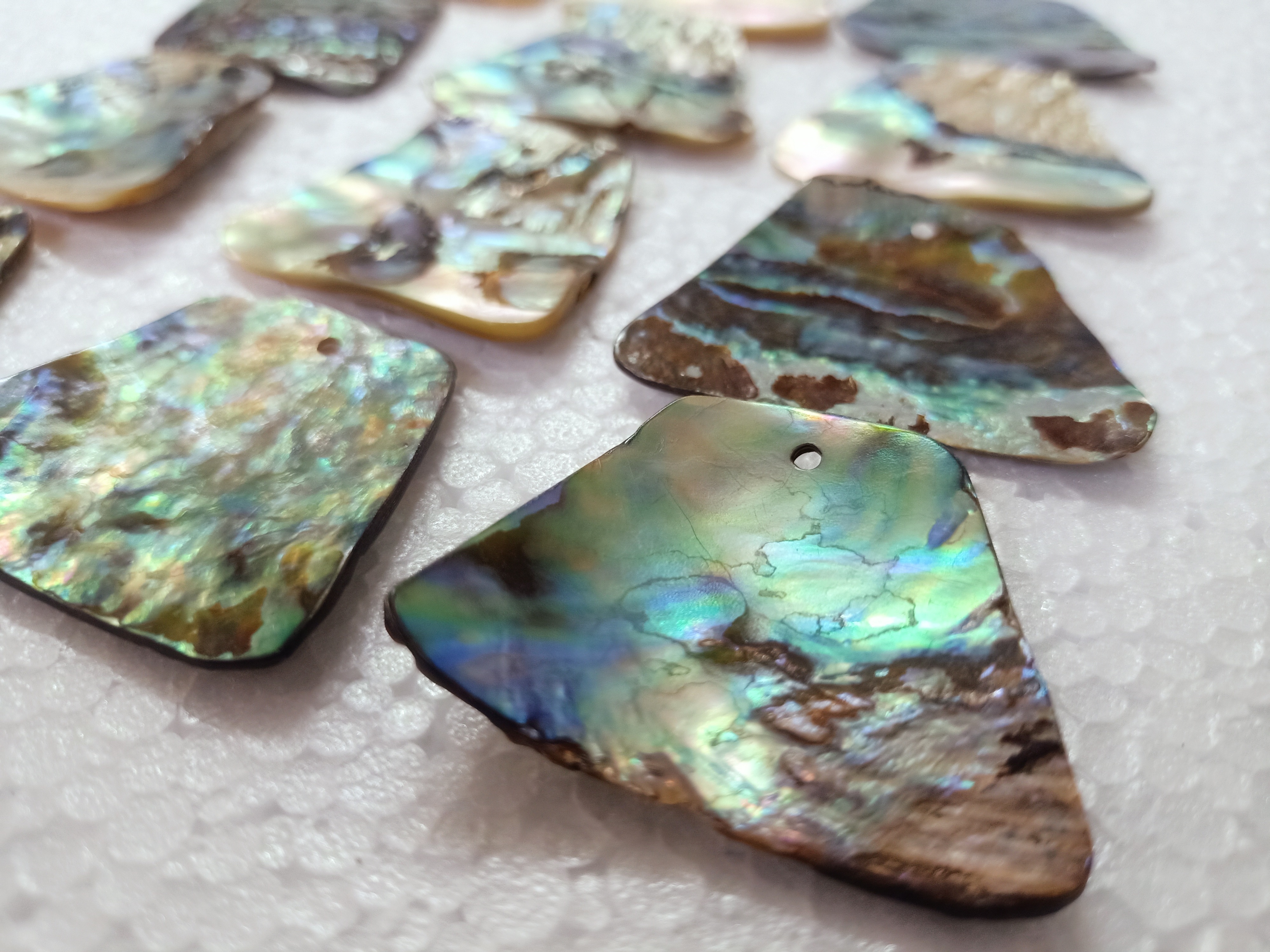 custom made abalone shells in size 20*40 mm ideal for jewelry designers and bead stores for resale