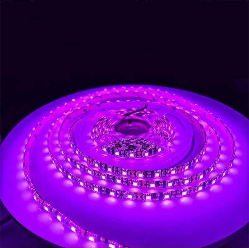 Cove Lighting LED Strip SMD2835 Led Tape Light DC5V/12V/24V Germicidal Purple WS2812B 395nm Aluminum DC 12V Luces Led COB 800 85