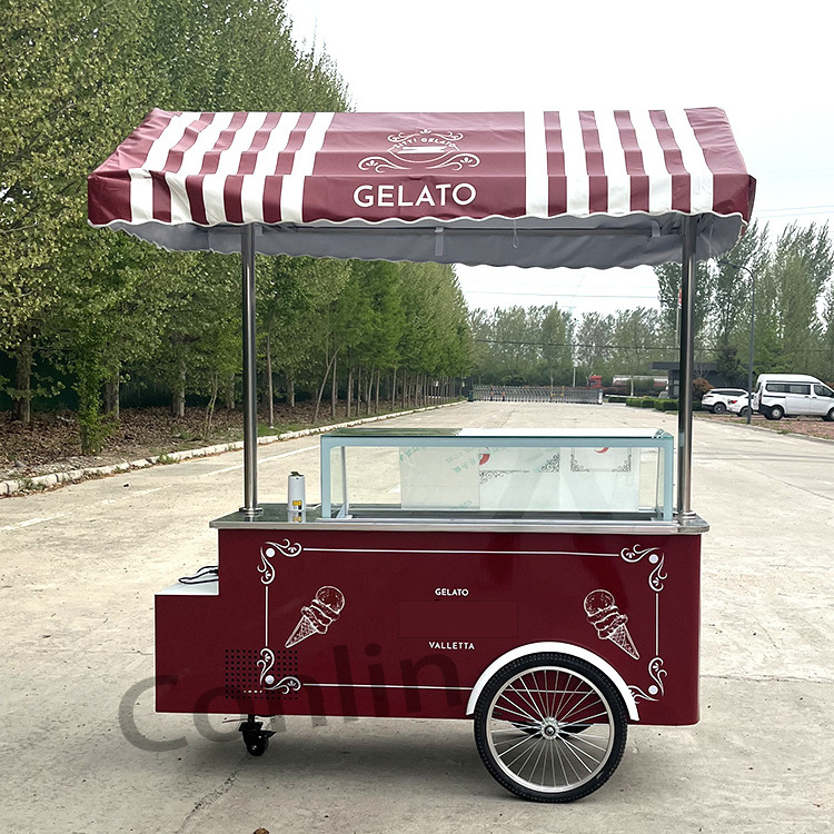 New Arrived Gelato Cart with Awning Hand Push Ice Cream Cart Mexican Ice Cream Push Cart for Sale