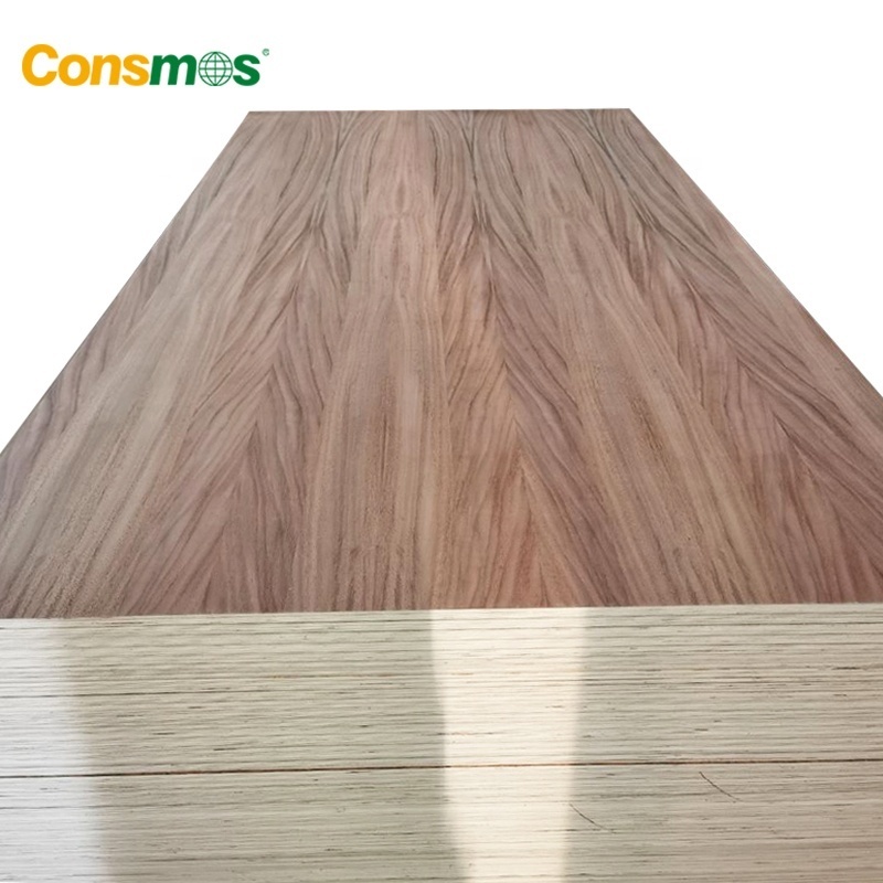 1220x2440mm 18mm Natural Wood Veneer Red Oak Black Walnut Parota Fancy Plywood