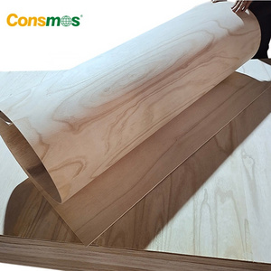 Cheap price 3mm 4mm 1220x2440mm paulownia flexible bending plywood