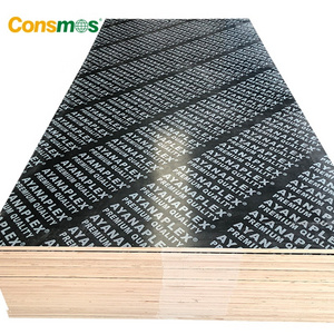 4*8 triplay birch film faced plywood phenolic board plywood construction