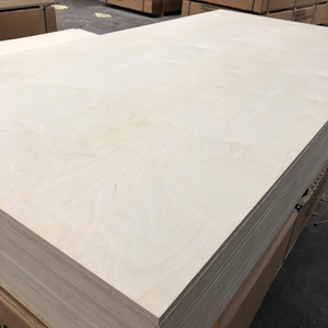 Cheap BB/CC Grade 15mm 16mm 18mm Full UV Painted White Birch Plywood