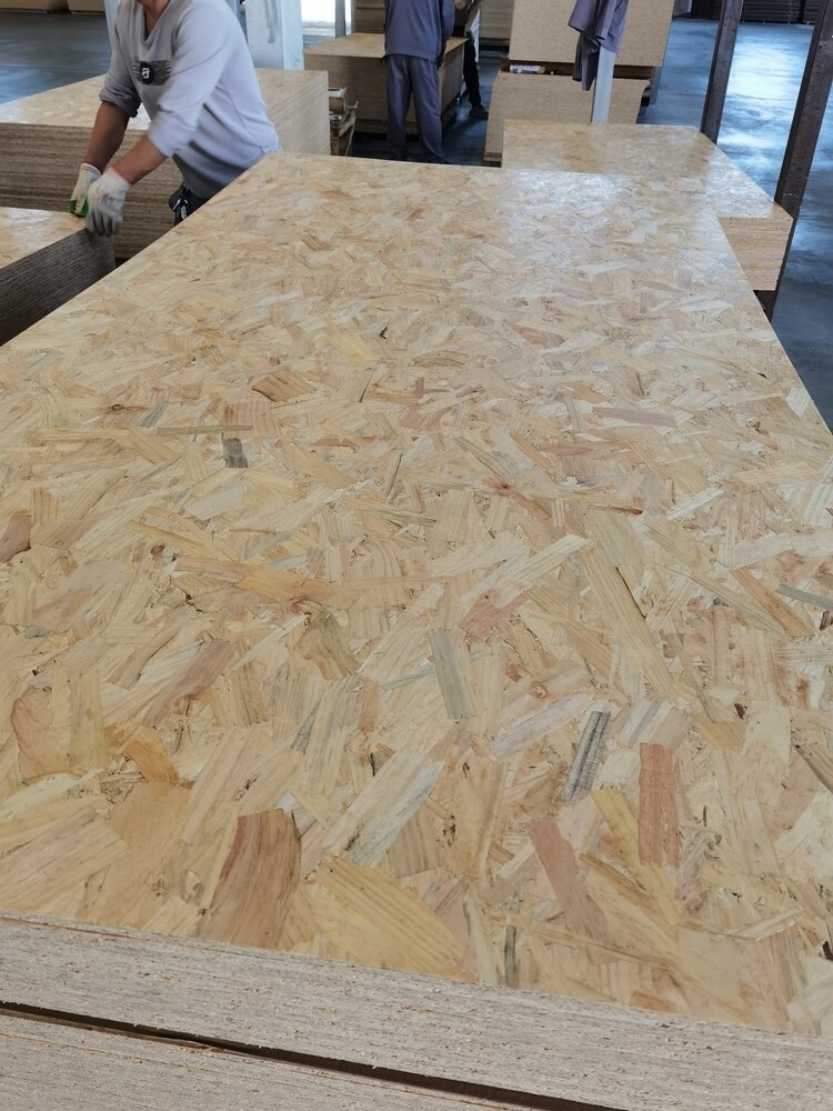 Consmos 8mm 9mm 9.5mm 11mm 12mm 18mm Construction Plywood OSB and furniture board OSB sheet to south America