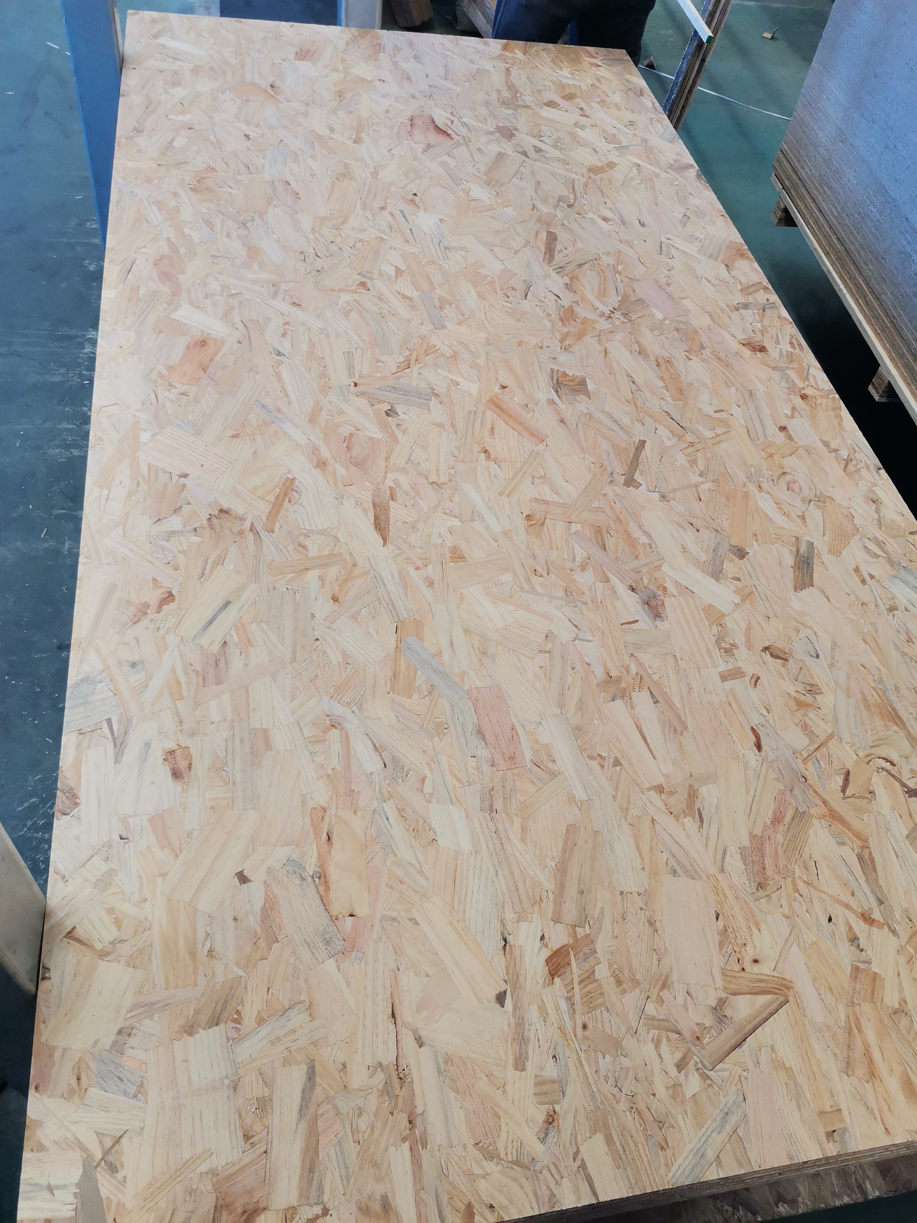 Consmos 8mm 9mm 9.5mm 11mm 12mm 18mm Construction Plywood OSB and furniture board OSB sheet to south America