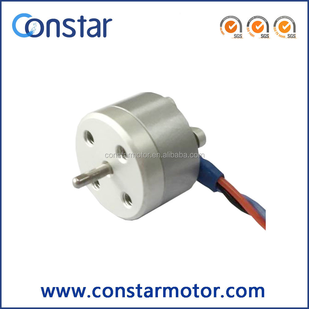 Factory price hot sale brushless 12v dc motor 2500rpm