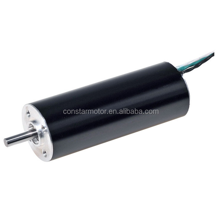 Micro BLDC 12V 6000rpm dc motor Manufacturers