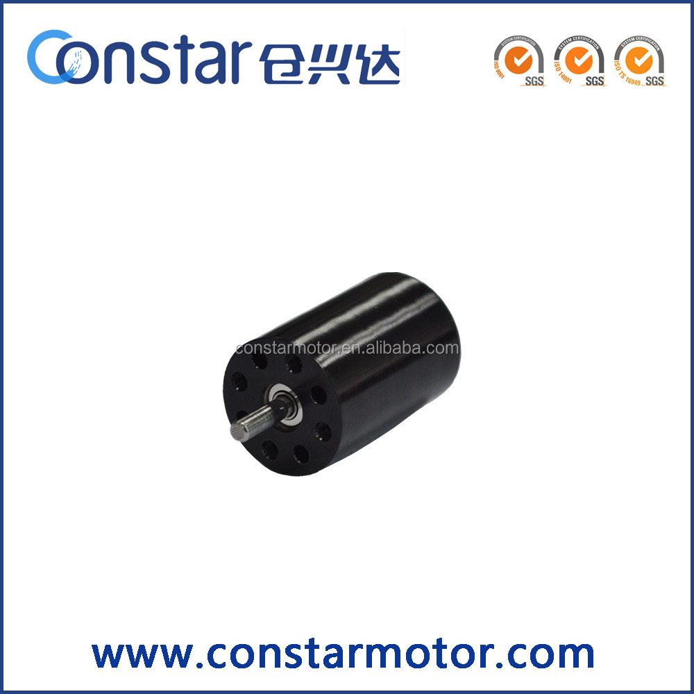 Micro BLDC 12V 6000rpm dc motor Manufacturers