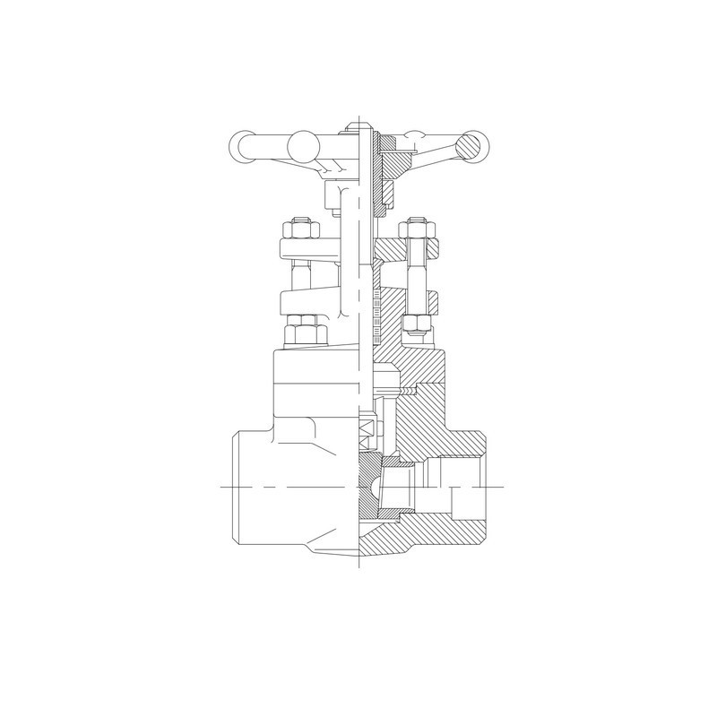 Forged Gate Valve size 2'' SW ends stainless steel ON-OFF operation all temperatures industrial use