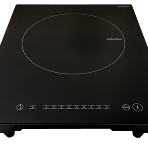 12v battery powered induction cooker electric one stove hob