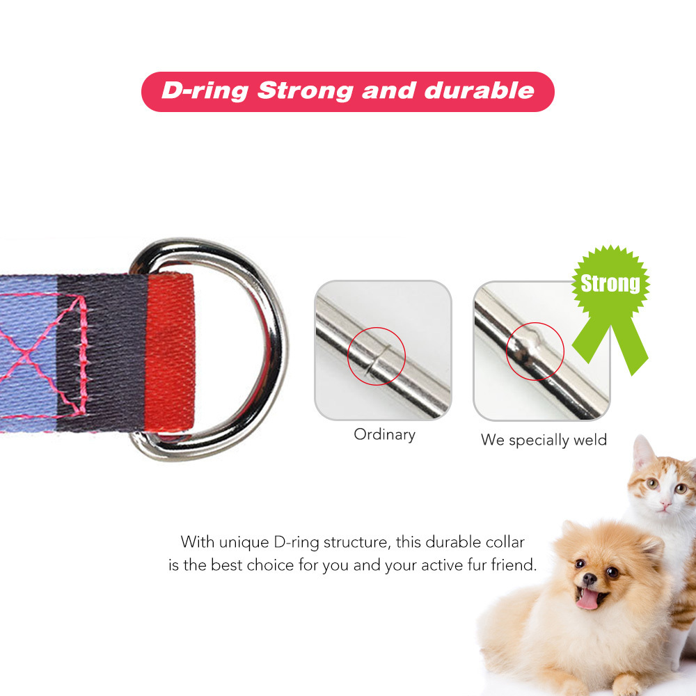 Wholesale Fashion Heat Transfer Pattern Adjustable Dog Leash And Collar Set