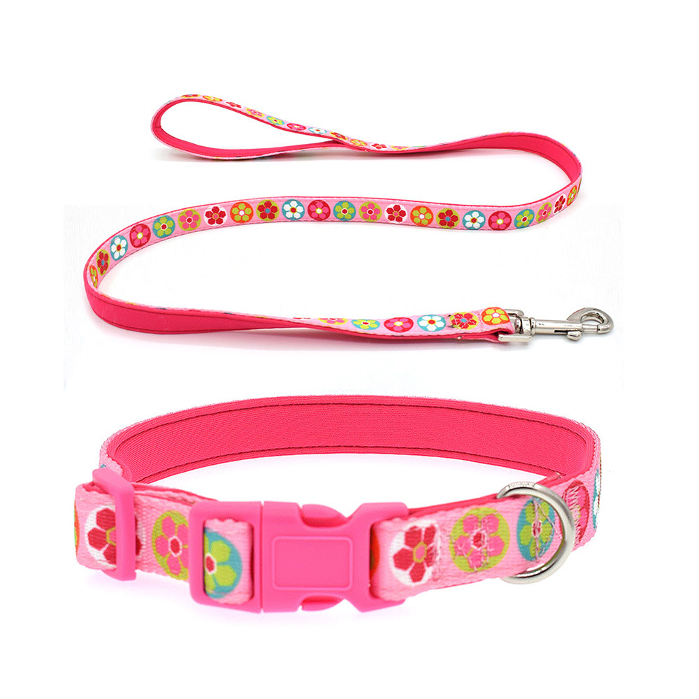 Wholesale Fashion Heat Transfer Pattern Adjustable Dog Leash And Collar Set