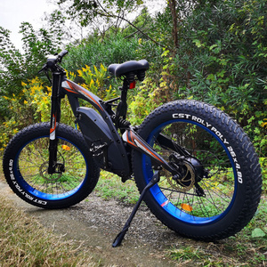 Off road powerful fat tire 48v 18ah 1000w 1500w bicycle electric bike fat bike mountain BISON 26 with suspension