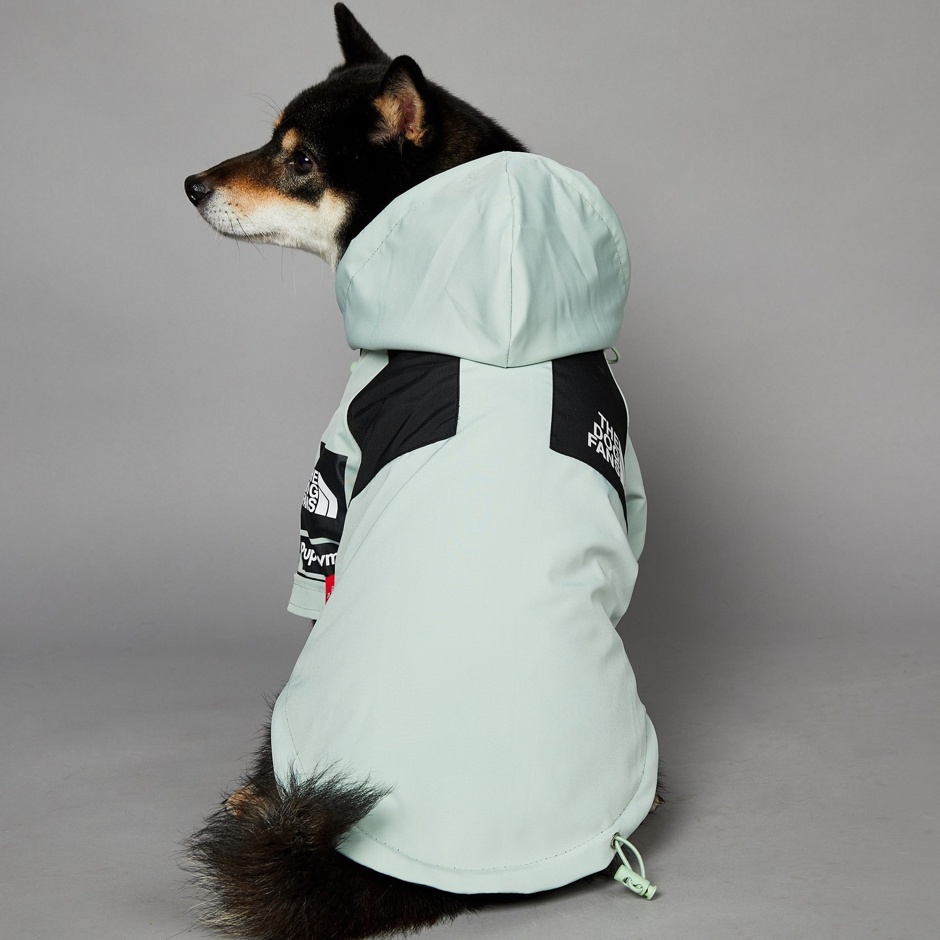 New Design big size dog coat waterproof raincoat for large dogs pet rain coat wholesale supplier custom