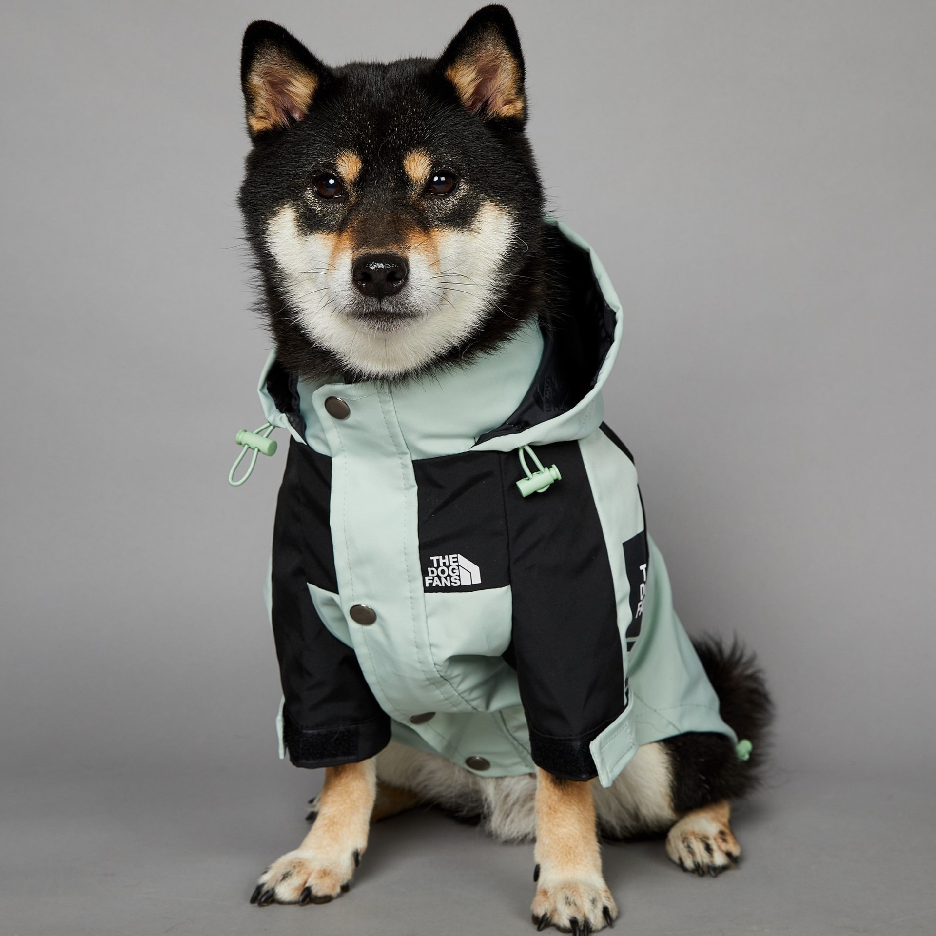 New Design big size dog coat waterproof raincoat for large dogs pet rain coat wholesale supplier custom