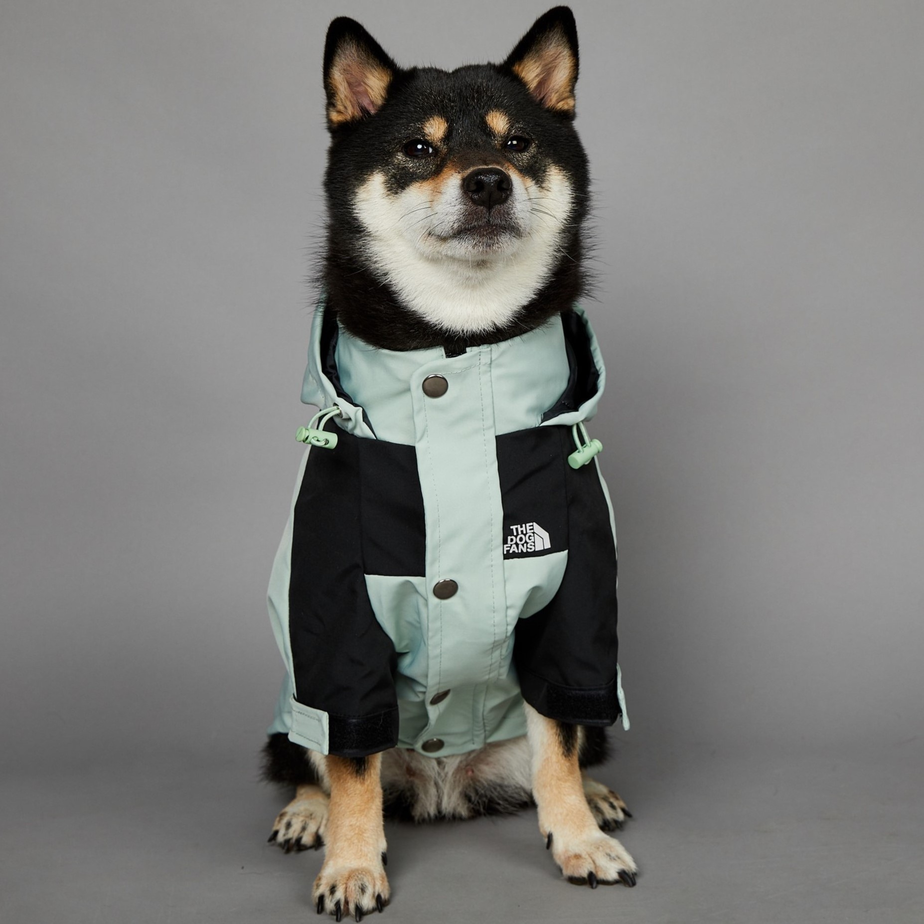 New Design big size dog coat waterproof raincoat for large dogs pet rain coat wholesale supplier custom