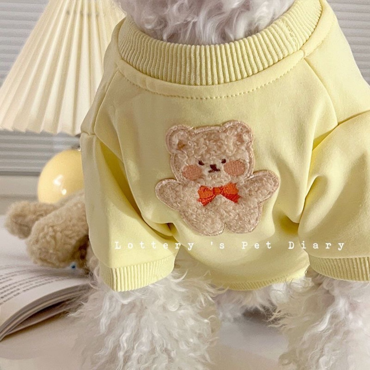 Korean Ins Dog Cat Clothes Autumn Winter Teddy Pet Pullover Clothes Small Dog Fleece Hoodie