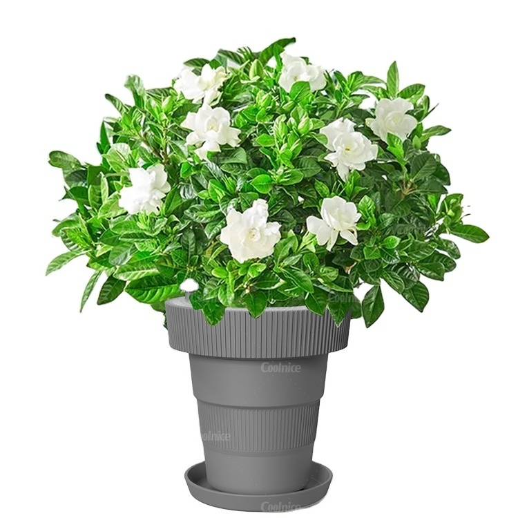 Gardening containers flower pot molds concrete planters vase orchids artificial flowers with pot