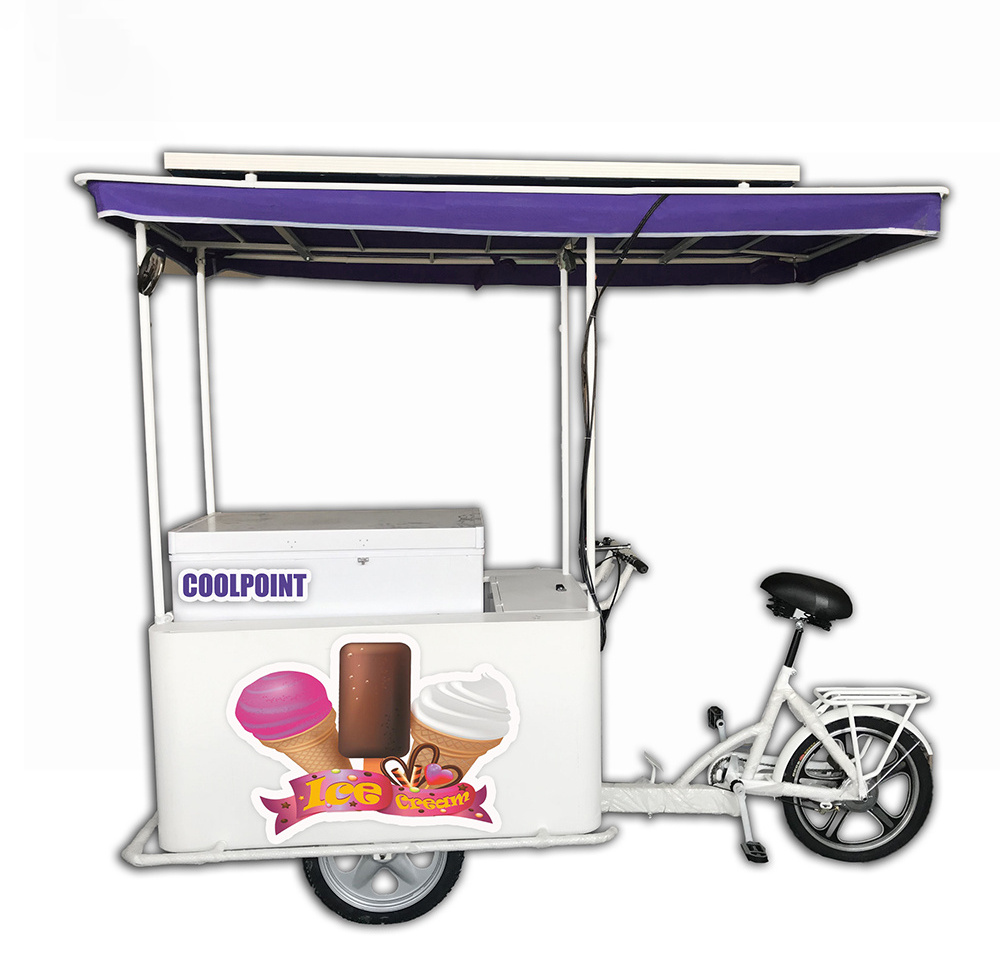 coolpoint ice cream bicycle vending with 208L solar freezer commercial