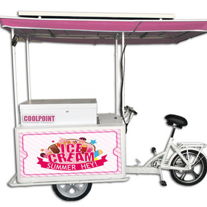 3 wheel ice cream bike/electric food trike delivery tricycle cargo tricycle for sale