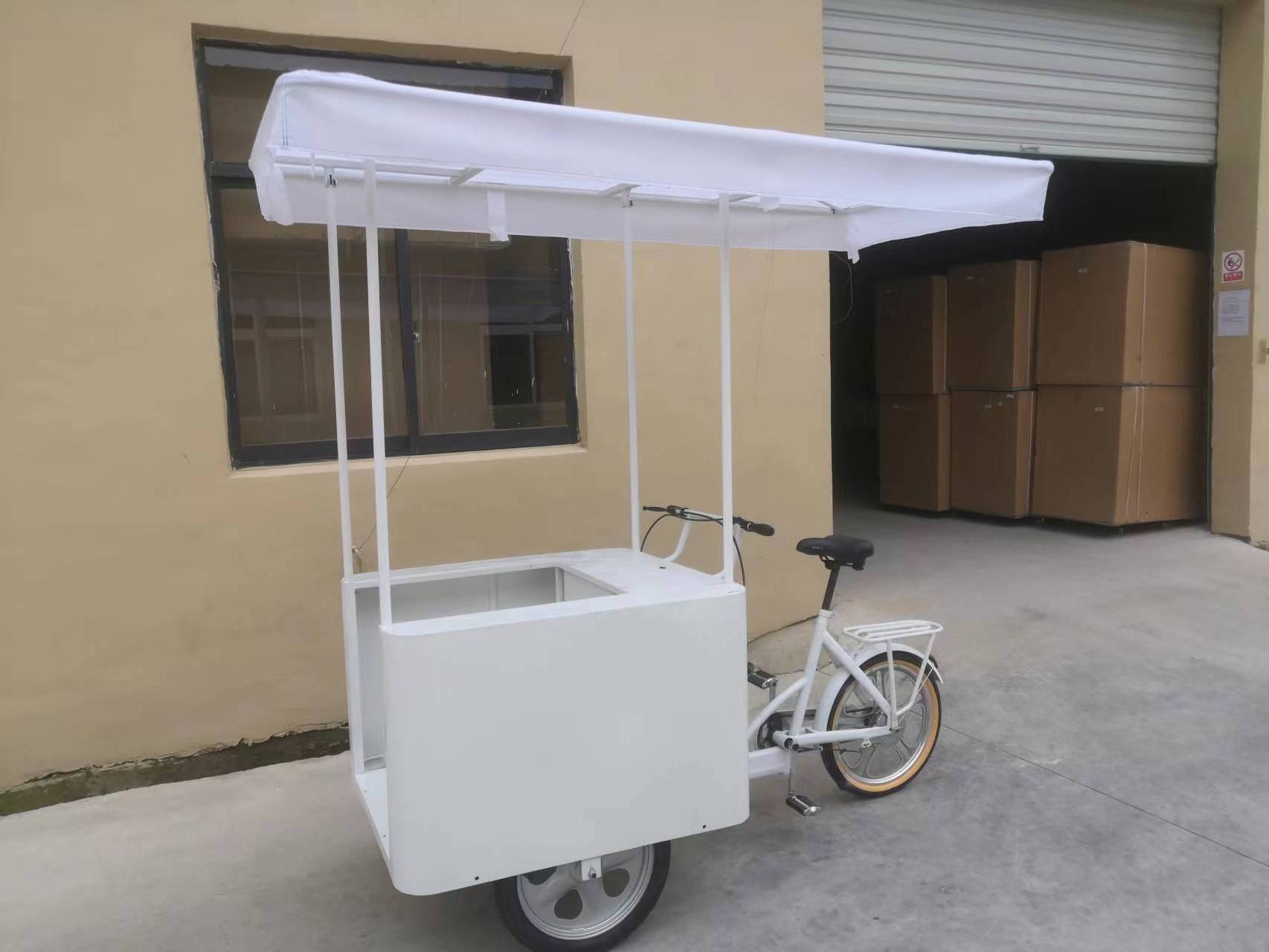 High quality DC 12v24v solar powered ice cream trike  motorcycle  with ice cooler bike  thermostat