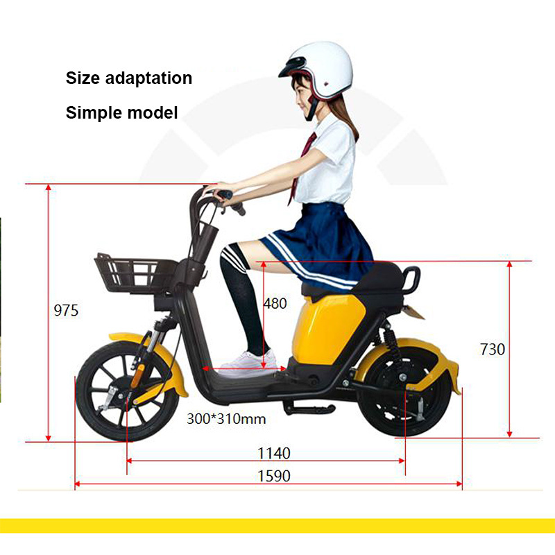 New Economy Popular Public Sharing Electric Bike Scooter 80KM Battery 2 Wheel Adult Mobility Bicycle Electric Scooter