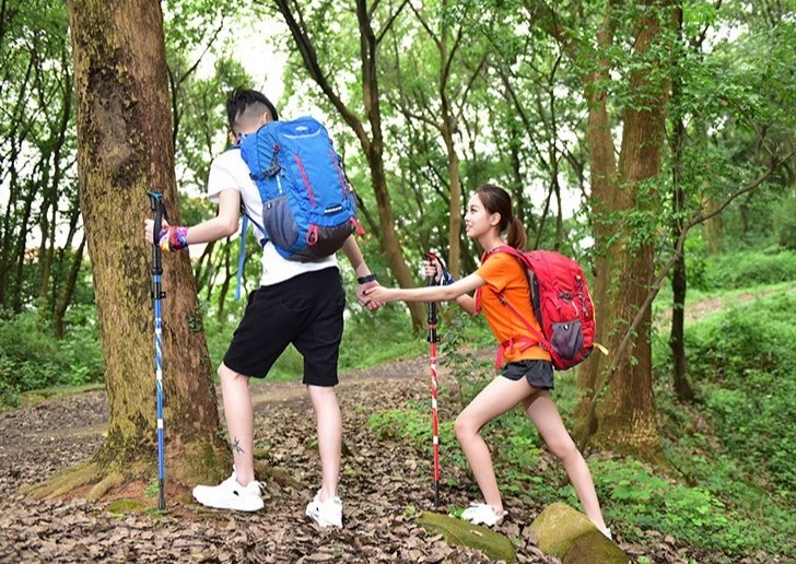 Walking Sticks / Adjustable Hiking Poles / Trekking Poles with Quick Flip Lock, Lightweight Collapsible, Durable Aluminum