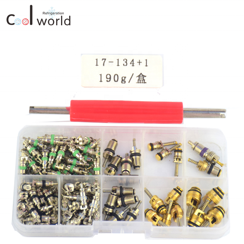 134Pcs/set R134A Automotive Air Conditioning valve core removal tool